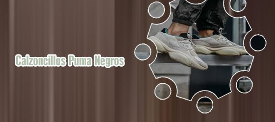 Calzoncillos puma